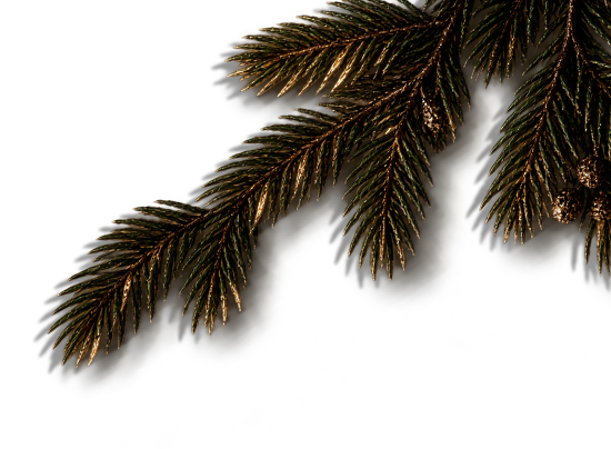 Branch decoration